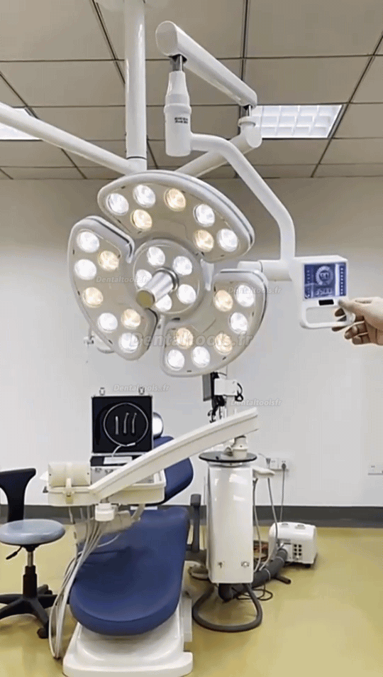 Lampe chirurgicale sans ombre montée au plafond dentaire scialytique dentaire plafonnier 52 LED KY-P138-2